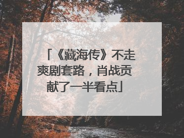 《藏海传》不走爽剧套路，肖战贡献了一半看点