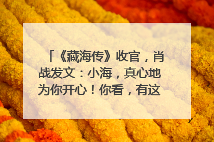 《藏海传》收官，肖战发文：小海，真心地为你开心！你看，有这么多人懂你！