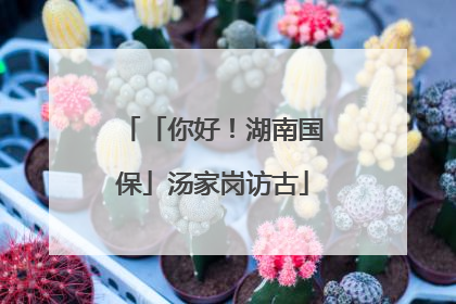 「你好！湖南国保」汤家岗访古