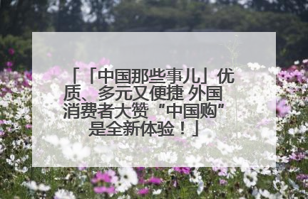 「中国那些事儿」优质、多元又便捷 外国消费者大赞“中国购”是全新体验！