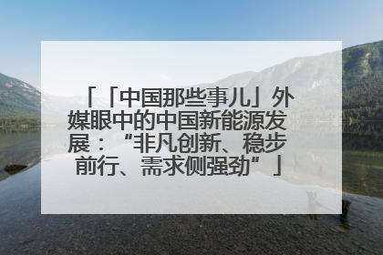 「中国那些事儿」外媒眼中的中国新能源发展：“非凡创新、稳步前行、需求侧强劲”