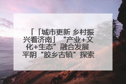 「城市更新 乡村振兴看济南」“产业+文化+生态”融合发展 平阴“胶乡古镇”探索振兴路径成效显著