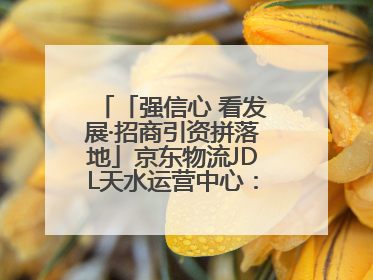 「强信心 看发展·招商引资拼落地」京东物流JDL天水运营中心：激活陇东南区域经济新引擎