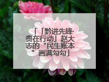 「黔进先锋·贵在行动」赵大志的“民生账本”画满勾勾