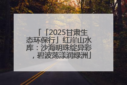 「2025甘肃生态环保行」红崖山水库：沙海明珠绽异彩，碧波荡漾润绿洲