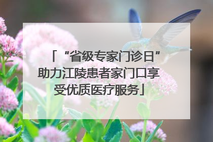“省级专家门诊日”助力江陵患者家门口享受优质医疗服务