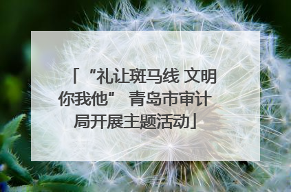 “礼让斑马线 文明你我他” 青岛市审计局开展主题活动