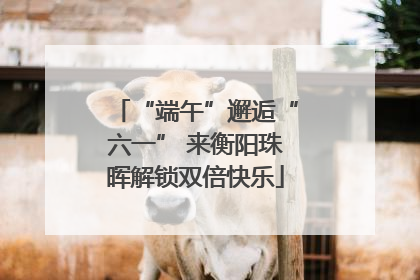 “端午”邂逅“六一” 来衡阳珠晖解锁双倍快乐