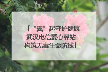 “翼”起守护健康 武汉电信爱心翼站构筑无毒生命防线