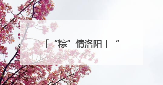 “粽”情洛阳丨“艾”在伊滨 “粽”享露营 端午主题文明实践活动启动
