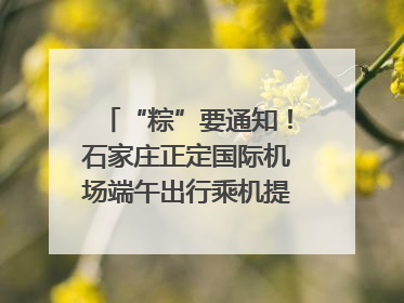 “粽”要通知！石家庄正定国际机场端午出行乘机提示，快来get