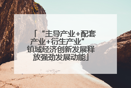 “主导产业+配套产业+衍生产业” 镇域经济创新发展释放强劲发展动能