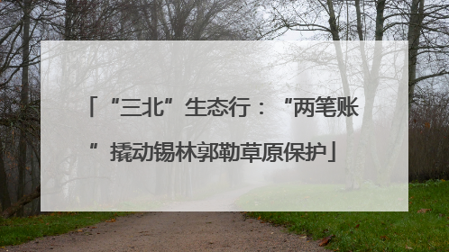 “三北”生态行：“两笔账”撬动锡林郭勒草原保护