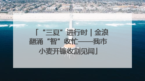 “三夏”进行时｜金浪翻涌“智”收忙——我市小麦开镰收割见闻