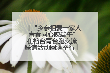 “乡亲相爱一家人 青春同心映端午” 在榕台青台胞交流联谊活动圆满举行