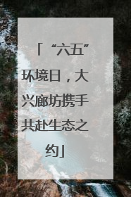 “六五”环境日，大兴廊坊携手共赴生态之约