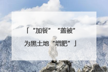 “加餐”“盖被” 为黑土地“增肥”