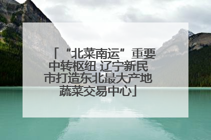 “北菜南运”重要中转枢纽 辽宁新民市打造东北最大产地蔬菜交易中心