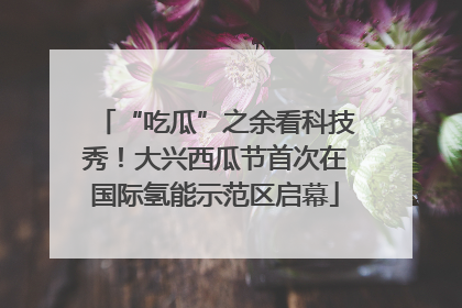 “吃瓜”之余看科技秀！大兴西瓜节首次在国际氢能示范区启幕
