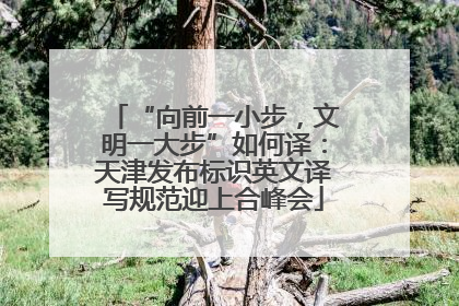 “向前一小步，文明一大步”如何译：天津发布标识英文译写规范迎上合峰会