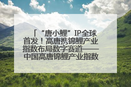 “唐小鲤”IP全球首发！高唐携锦鲤产业指数布局数字赛道——中国高唐锦鲤产业指数暨“唐小鲤”IP全球首发仪式在杭州举行