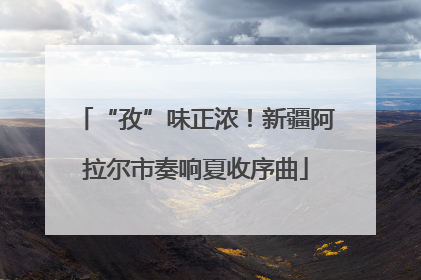 “孜”味正浓！新疆阿拉尔市奏响夏收序曲