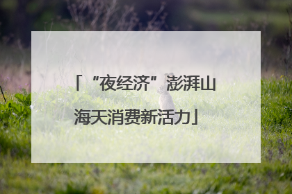 “夜经济”澎湃山海天消费新活力
