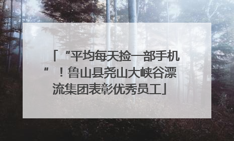 “平均每天捡一部手机”！鲁山县尧山大峡谷漂流集团表彰优秀员工