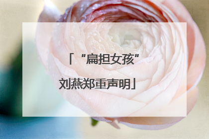 “扁担女孩”刘燕郑重声明