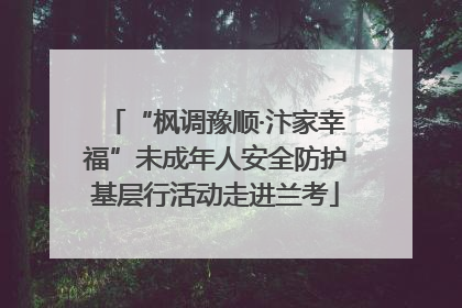 “枫调豫顺·汴家幸福”未成年人安全防护基层行活动走进兰考