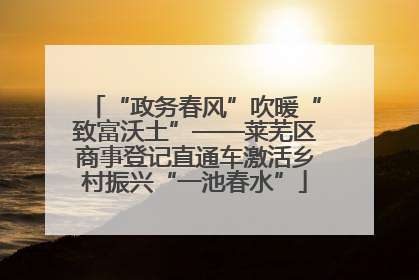 “政务春风”吹暖“致富沃土”——莱芜区商事登记直通车激活乡村振兴“一池春水”