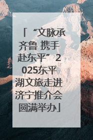 “文脉承齐鲁 携手赴东平”2025东平湖文旅走进济宁推介会圆满举办