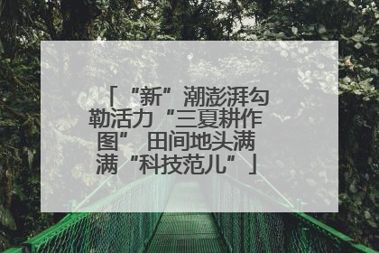 “新”潮澎湃勾勒活力“三夏耕作图” 田间地头满满“科技范儿”