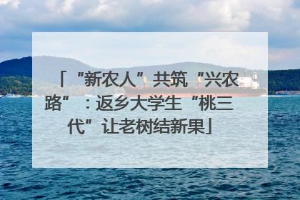 “新农人”共筑“兴农路”：返乡大学生“桃三代”让老树结新果