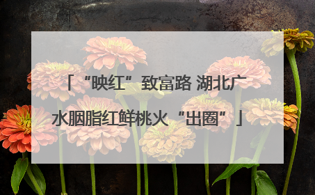 “映红”致富路 湖北广水胭脂红鲜桃火“出圈”