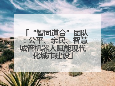 “智同道合”团队：公平、亲民、智慧城管机器人赋能现代化城市建设