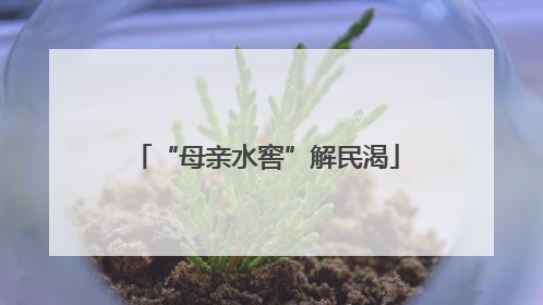 “母亲水窖”解民渴