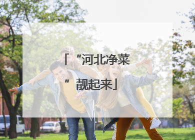 “河北净菜”靓起来