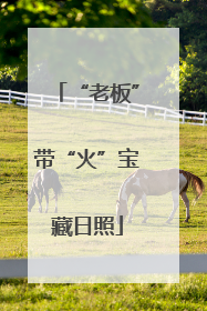 “老板”带“火”宝藏日照