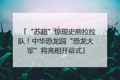 “苏超”惊现史前拉拉队！中华恐龙园“恐龙大军”将亮相开幕式