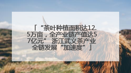 “茶叶种植面积达12.5万亩，全产业链产值达57亿元” 浙江武义茶产业全链发展“加速度”