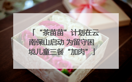 “茶苗苗”计划在云南保山启动 为留守困境儿童三餐“加肉”