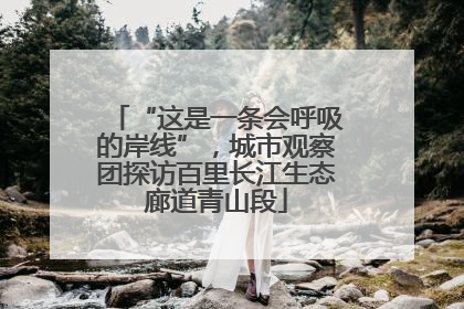 “这是一条会呼吸的岸线”，城市观察团探访百里长江生态廊道青山段