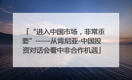 “进入中国市场，非常重要”——从肯尼亚-中国投资对话会看中非合作机遇