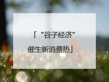 “谷子经济”催生新消费热