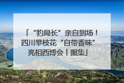 “豹局长”亲自到场！四川攀枝花“自带香味”亮相西博会丨图集