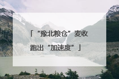 “豫北粮仓”麦收跑出“加速度”