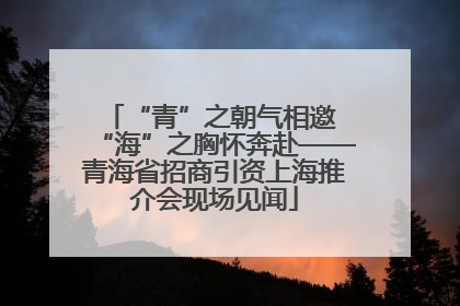 “青”之朝气相邀 “海”之胸怀奔赴——青海省招商引资上海推介会现场见闻