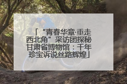 “青春华章·重走西北角”采访团探秘甘肃省博物馆：千年珍宝诉说丝路辉煌