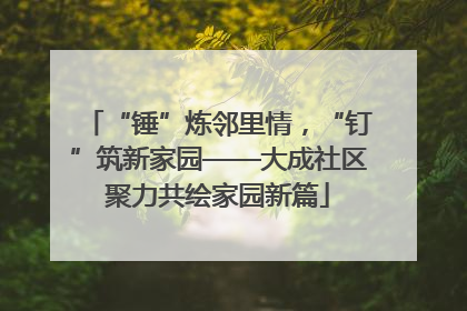 “锤”炼邻里情，“钉”筑新家园——大成社区聚力共绘家园新篇